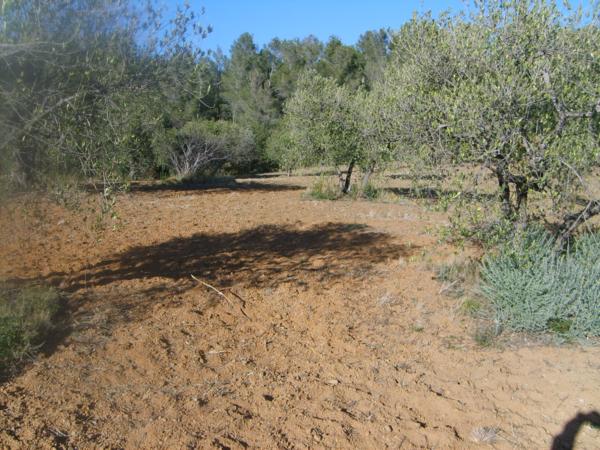 Finca rústica en ALEIXAR